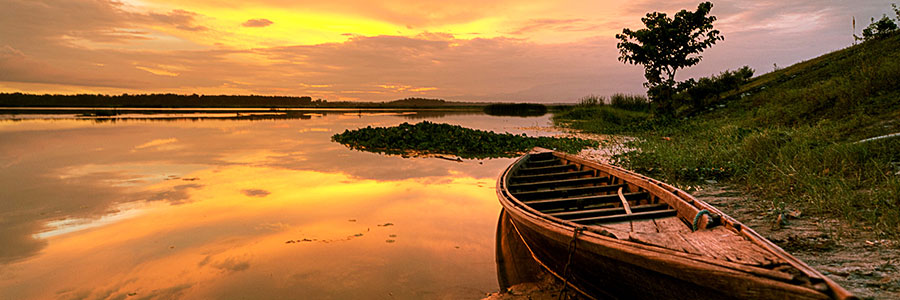 Cultural Experiences